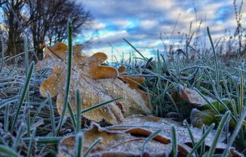Укргидрометцентр объявил оранжевый уровень опасности из-за заморозков