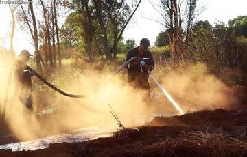 Під Києвом вдалося загасити п'ять пожеж на торфовищах Під Києвом вдалося загасити п'ять пожеж на торфовищах