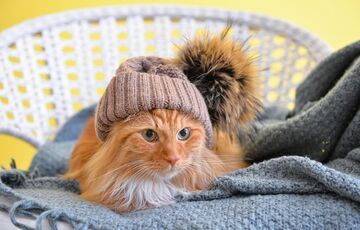 Кличко объявил об официальном начале отопительного сезона в Киеве