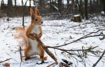 Прогноз погоди: коли в Україну повернеться сонце
