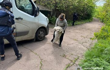 В Сумской области провели эвакуацию женщины и ее 12 собак: фото В Сумской области провели эвакуацию женщины и ее 12 собак: фото