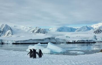 Вчені повідомили про рекордно теплу зиму в Антарктиді за 70 років (фото)