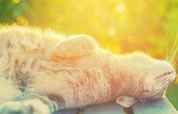 Спекотні вихідні: прогноз погоди в Україні