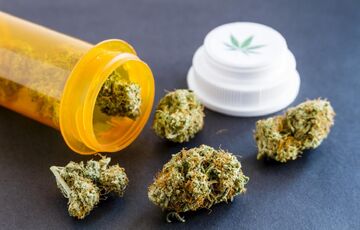 Минздрав Украины выступил за легализацию медицинского каннабиса