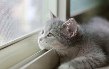 Стовпчики термометрів пішли вгору: прогноз погоди в Україні