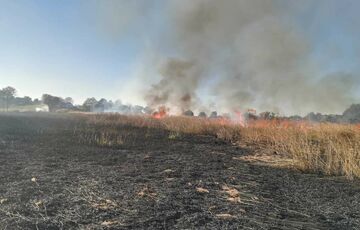 Жителів кількох областей попередили про високу загрозу пожеж Жителів кількох областей попередили про високу загрозу пожеж
