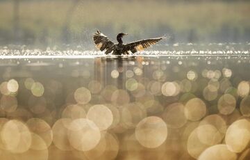 В Украину идет похолодание и дожди: синоптик назвала сроки 