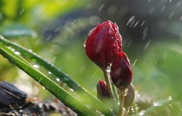 Прогноз на вихідні: кому варто чекати сонця