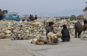 Казни, трудовые лагеря и слежка: ООН фиксирует ухудшение ситуации с правами человека в КНДР