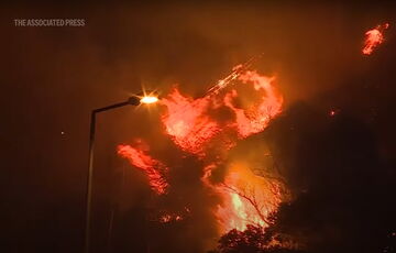Португалия просит помощи из-за лесных пожаров: огонь приближается к лавровому лесу из списка ЮНЕСКО Португалия просит помощи из-за лесных пожаров: огонь приближается к лавровому лесу из списка ЮНЕСКО