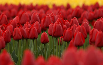 В Україну прийшло похолодання: прогноз синоптиків