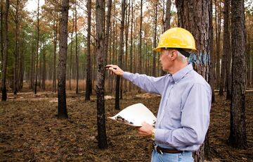 19 сентября 2021 года празднуем День работника леса 19 сентября 2021 года празднуем День работника леса