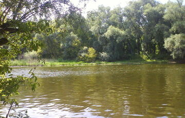 Біля Слов'янська родина підірвалася на міні