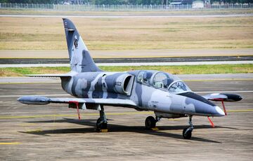 У Росії розбився навчальний літак із командиром авіабази на борту У Росії розбився навчальний літак із командиром авіабази на борту