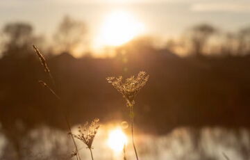 Літнє сонцестояння 21 червня 2025 року: що це і чому відбувається