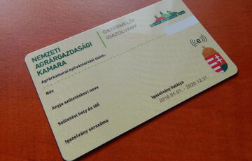 Єврокомісія вимагає від Угорщини пояснити спрощений в'їзд для росіян та білорусів