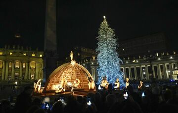У Ватикані засяяла головна різдвяна ялинка