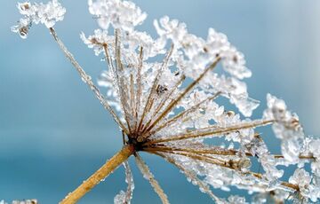 Сонячний день та морозна ніч: прогноз погоди в Україні.