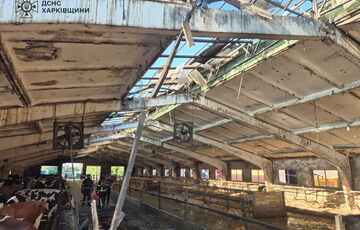 Російські окупанти обстріляли сільгосппідприємство на Харківщині: постраждали корови