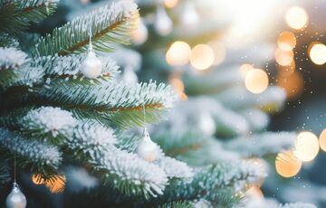 Стоит ли ждать морозов к Рождеству: прогноз синоптика Стоит ли ждать морозов к Рождеству: прогноз синоптика