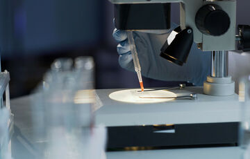 У Польщі виявили перший випадок віспи мавп