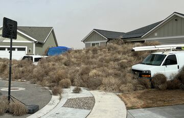 Город в США засыпало перекати-полем