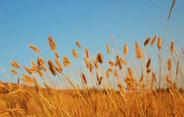 Прогноз погоди: чи варто чекати ослаблення спеки
