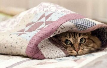 Прогноз погоди: в Україні стає тепліше