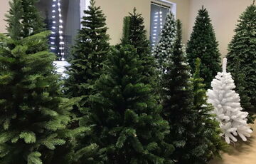 Які міста відмовилися від новорічних ялинок цього року