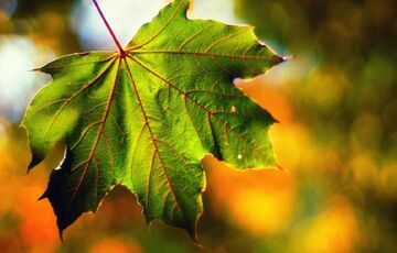 Погода в Україні: коли повернеться тепло