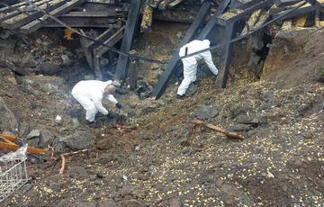 В Польше рассказали, когда появятся результаты расследования падения ракеты