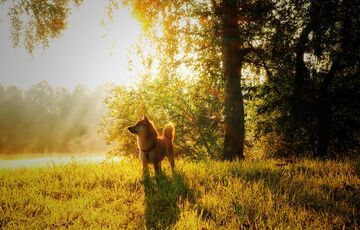 Прогноз синоптиків: якою буде погода в перший день жовтня