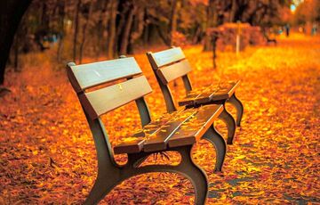 Погода в Україні: де сьогодні будуть йти дощі