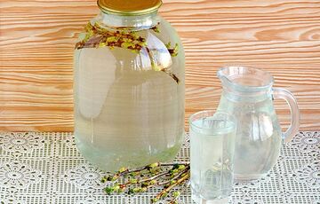 Сезонні ласощі: користь і шкода березового соку