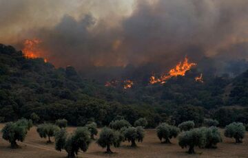 Рекордная жара в Испании повлекла за собой масштабные лесные пожары Рекордная жара в Испании повлекла за собой масштабные лесные пожары