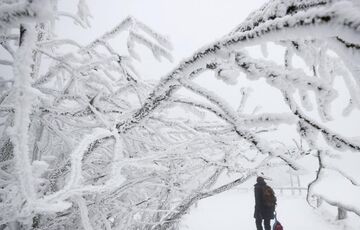 Синоптики предупредили о стремительном похолодании в Украине