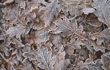 Погода в Україні: кому чекати різкого похолодання