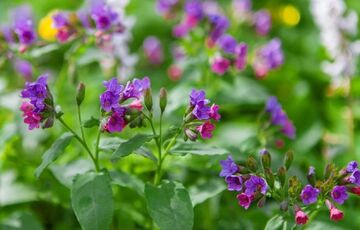 В Украину идет новая волна похолодания: синоптик назвала сроки