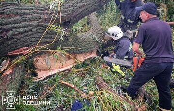 На Одещині дерево впало на намет з підлітками: є загиблий На Одещині дерево впало на намет з підлітками: є загиблий