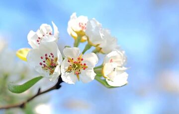 Остался всего день: синоптик рассказала, когда в Украине снова потеплеет