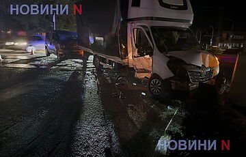 У Миколаєві в ДТП потрапила вантажівка, що перевозила заморожені тіла собак