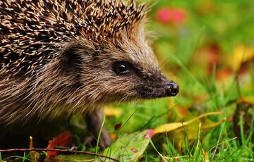 Синоптик рассказала, когда в Украине станет теплее