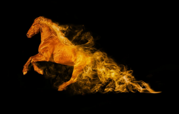 2026 год какого животного: что он принесёт и кому сулит удачу