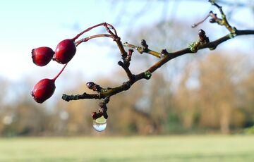 Прогноз синоптиків: українцям ще доведеться потерпіти дощі