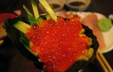 Джерело вітамінів: в чому користь червоної ікри для організму людини