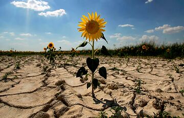 В Украину идет новая волна сильной жары