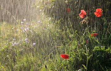 Погода в Україні: синоптики попередили про грози