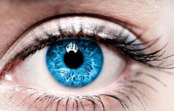 В Испании создали первую в мире искусственную сетчатку глаза В Испании создали первую в мире искусственную сетчатку глаза