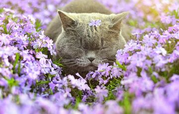 Прогноз погоди в Україні: стає тепліше