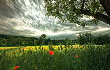 Какая погода будет в Украине в июле